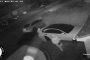 بالفيديو.. سرقة سيارة مرسيدس في 60 ثانية دون كسر أو خدش