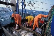 وزير دانماركي يؤكد نفعية اتفاقية الصيد البحري على الصحراء المغربية