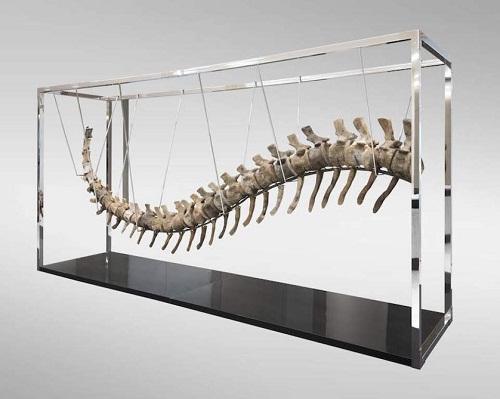 الكشف عن معطيات جديدة حول ذيل ديناصور مغربي بيع بالمكسيك