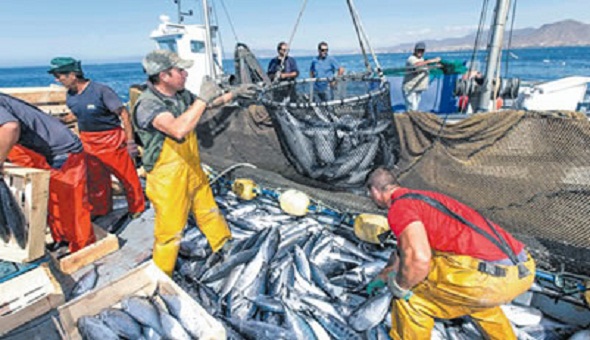 المغرب والاتحاد الأوروبي ينتظران بتفاؤل قرار المحكمة بخصوص اتفاقية الصيد