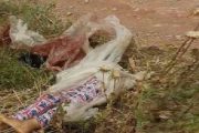 الإعدام لقاتل شابة قطع جثتها بمنشار