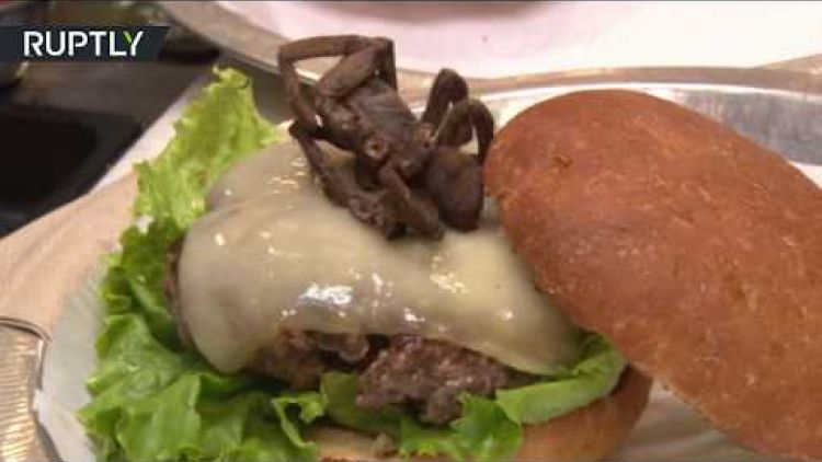 بالفيديو.. مطعم أمريكي يعرض على زبائنه عنكبوت مع كل وجبة برغر