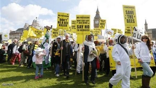 بريطانيا تتضامن مع النحل