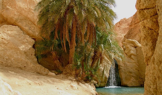 تونس تحتفل بالدورة 28 لمهرجان الواحات الجبلية بتمغزة