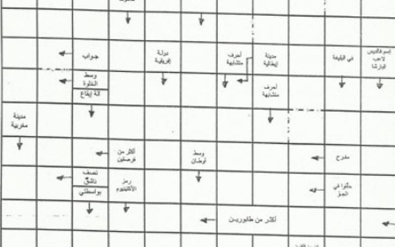 مغربي يسعى إلى دخول موسوعة 'غينيس' بأكبر شبكة للكلمات المتقاطعة بالعربية