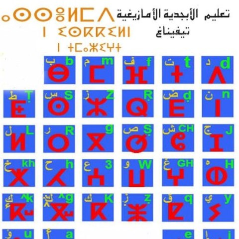 مواطن الاتصال والانفصال بين اللغة الأمازيغية واللغة العربية
