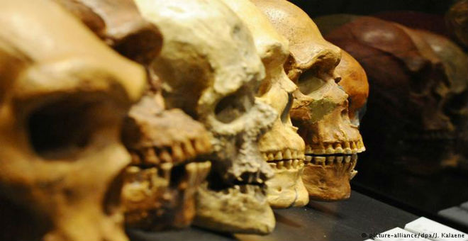 عظام في أثيوبيا قد تكشف عن نوع بشري مندثر