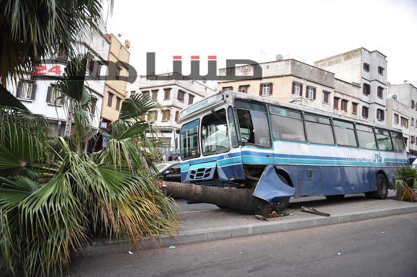 بالفيديو:حافلة مجنونة تصطدم بنخلة في الدار البيضاء