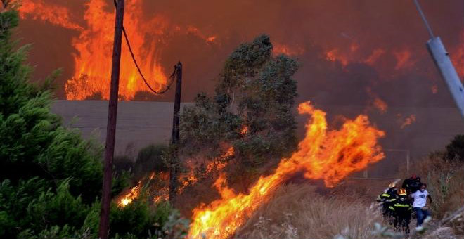 الجزائر..النيران تلتهم 30 ألف هكتار من الغابات سنويا