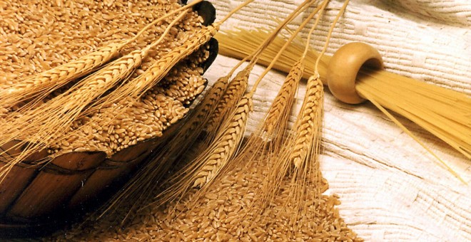 توزيع حصص الدقيق من القمح اللين على أقاليم المملكة