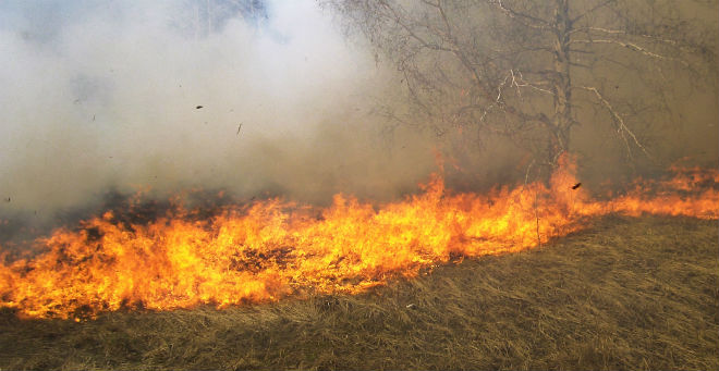 حريق يأتي على خمسة هكتارات بإحدى غابات طنجة