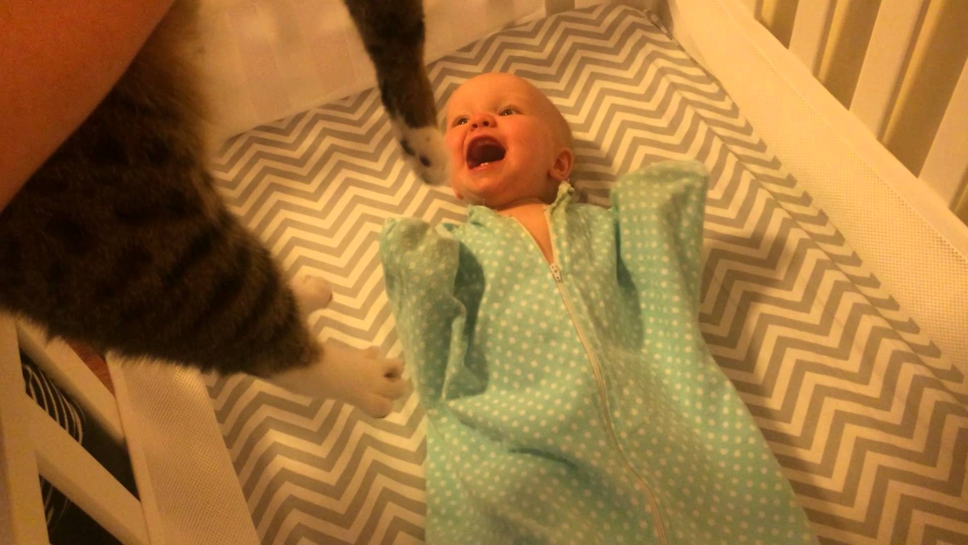 ردّ عفوي لرضيع يرى قطة لأول مرة