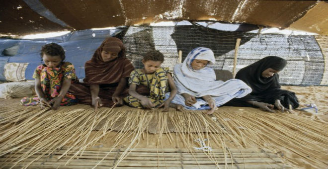 الحكومة الموريتانية تطلق حملة لمكافحة عمل الأطفال جنوب البلاد