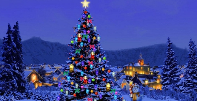شجرة عيد الميلاد تغزو العالم.. ولكن ما أصلها؟