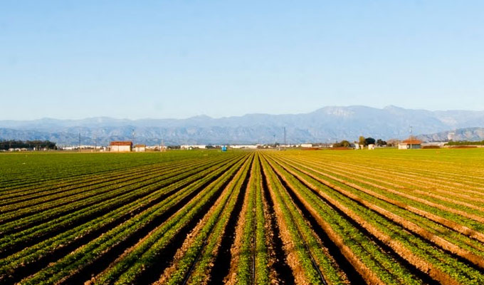 دعم بقيمة 132 مليون دولار لتمويل مشاريع زراعية بالمغرب