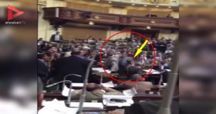 لحظة ضرب توفيق عكاشة في البرلمان