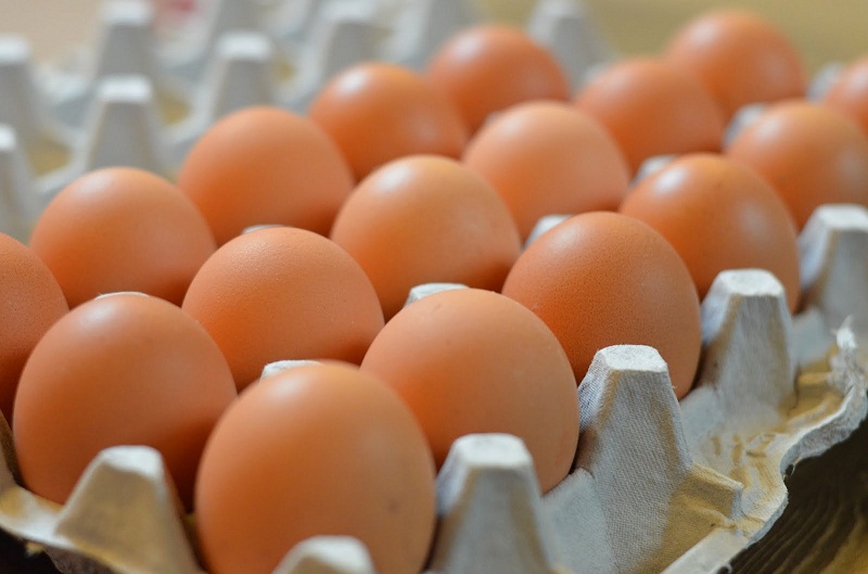 أنفلونزا الطيور تتسبب في زيادات صاروخية في أسعار البيض
