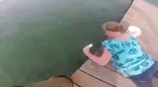 فيديو: مفاجأة غير سارة لفتاة حاولت إطعام سمكة