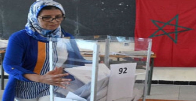 منار السليمي: قرار المحكمة الدستورية بمسألة القاسم الانتخابي ملزم ولا يقبل الطعن