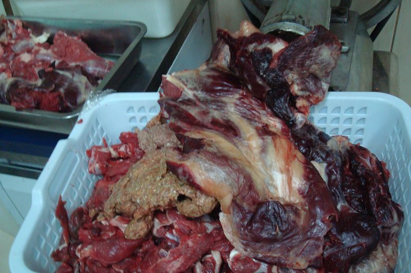 جنايات سلا تدين 10 متهمين بالمس بالنظام العام وترويج اللحوم الفاسدة