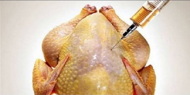 بالفيديو.. كيف تكتشفون الدجاج المحقون بالهرمونات المسرطنة