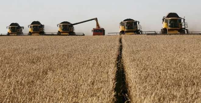 المغرب يشتري 235 ألف طن من القمح الأمريكي اللين