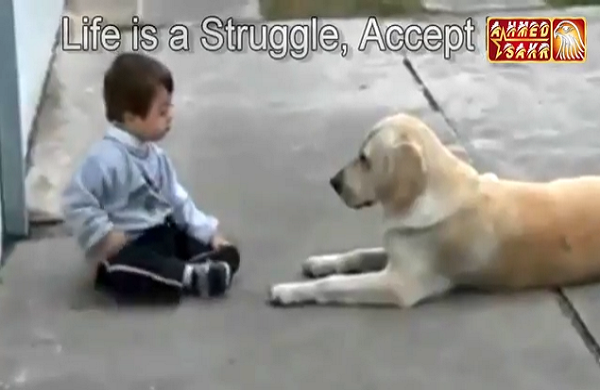 فيديو ابكى العالم .... الكلب والطفل المعاق ذهنيا