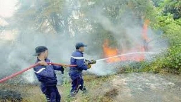 تاونات.. تدابير احترازية لحماية الغابات من الحرائق