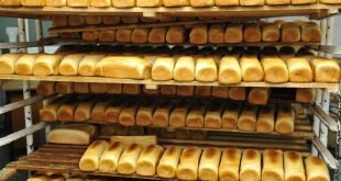 خبز وحلويات مكسيكية في المغرب