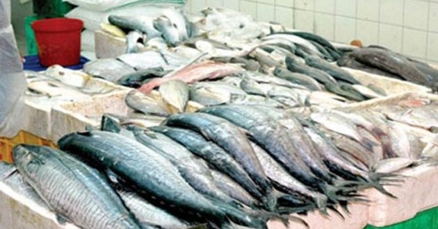 الثروات السمكية في البحر الأبيض المتوسط تعرف تراجعا كبيرا