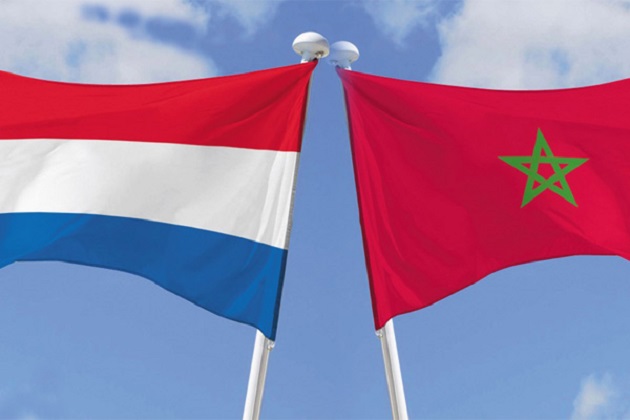 هولندا ترد على استدعاء الرباط لسفيرها في لاهاي