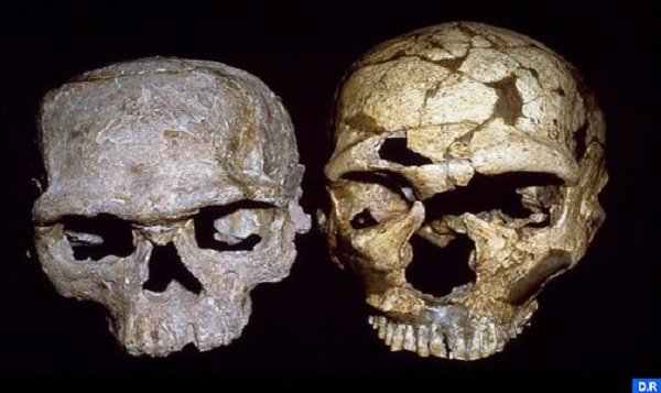 اليوسفية.. اكتشاف أقدم إنسان لصنف الإنسان العاقل بموقع جبل إيغود
