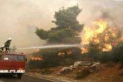 طنجة.. حريقان أتيا على حوالي 19 هكتارا من الغابات