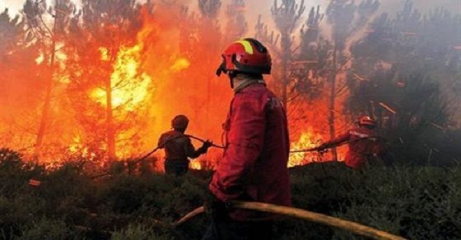 النيران تواصل التهام الغابات الإيطالية والسلطات تجلي سكان المدن القريبة