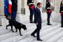 بالفيديو.. فعل فاضح لكلب الرئيس الفرنسي خلال اجتماع في الإليزيه