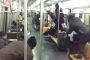 بالفيديو.. فأر يثير الرعب داخل عربة مترو