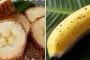 تطوير نوع جديد من الموز بقشور قابلة للأكل !