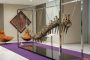مديرية التراث تدخل على خط بيع ذيل ديناصور مغربي بالمكسيك