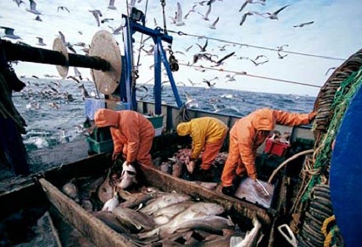 وزراء الصيد الأوروبيون يعلنون بدء المفاوضات حول الاتفاقية مع المغرب