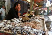 أسعار الأسماك تلتهب بعد تراجع كمياتها في الأسواق