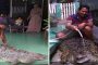بالفيديو... أسرة تعيش مع تمساح طوله أكثر من مترين على أنه حيوانها الأليف