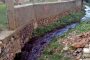جماعة بني عمارت تشتكي تلوث مياهها بسبب معصرة للزيتون