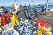 قرار المفوضية الأوروبية حول اتفاقية الصيد يربك البوليساريو
