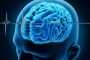 دراسة جديدة: دماغ الانسان يبقى نشيطاً بعد الوفاة