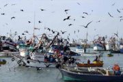 الاتحاد الأوروبي يفوض للجنة الأوروبية التفاوض حول اتفاق للصيد يشمل الصحراء