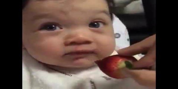 بالفيديو.. رد فعل رضيع يتذوق الفراولة للوهلة الأولى