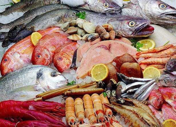 مسؤول: سعر الأسماك بسوق الجملة طبيعي وهؤلاء يتسببون في الغلاء (وثيقة حصرية)