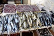 أسعار السمك تعرف ارتفاعا صاروخيا رغم تطمينات الحكومة !