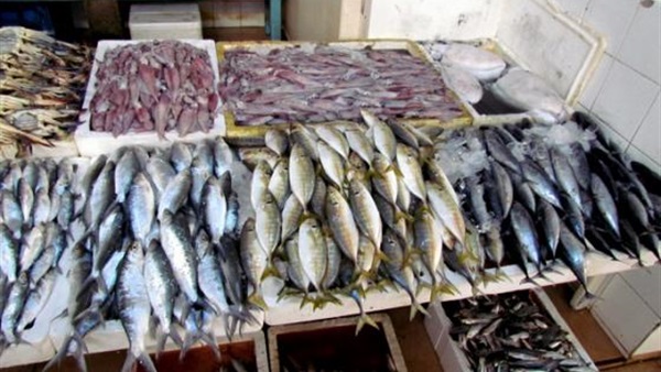 أسعار السمك تعرف ارتفاعا صاروخيا رغم تطمينات الحكومة !