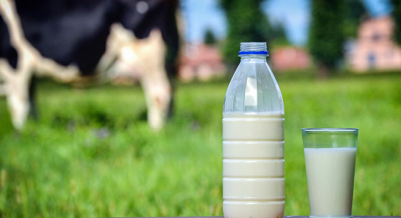 ''فاينانشال تايمز'' تحذر من ارتفاع سريع في أسعار الحليب في العالم
